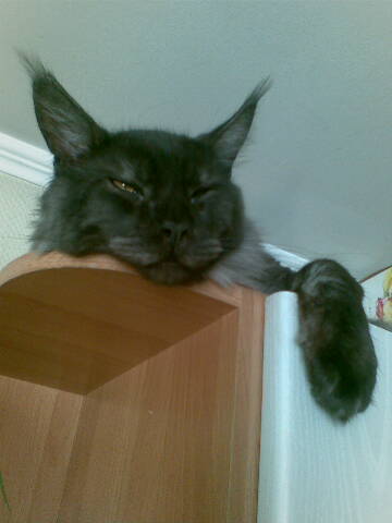 Наталья Ракова