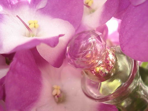 Сания Калиева