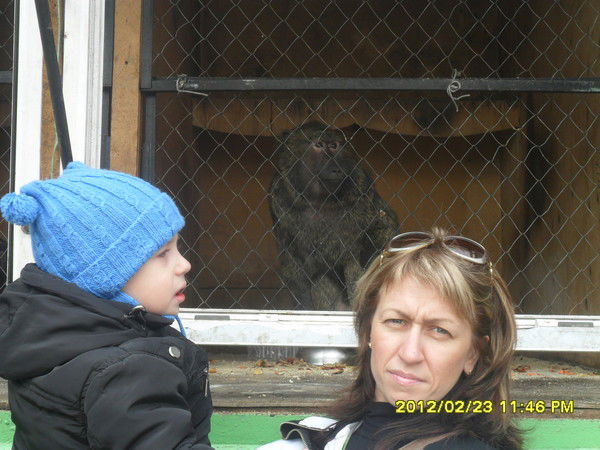 Оля Спехина