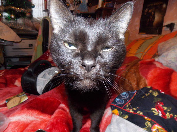 Юлия Азарова