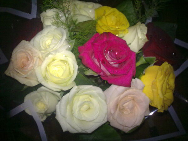 Карташова Людмила