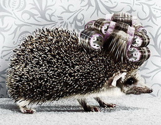 Светлана Барабанщикова