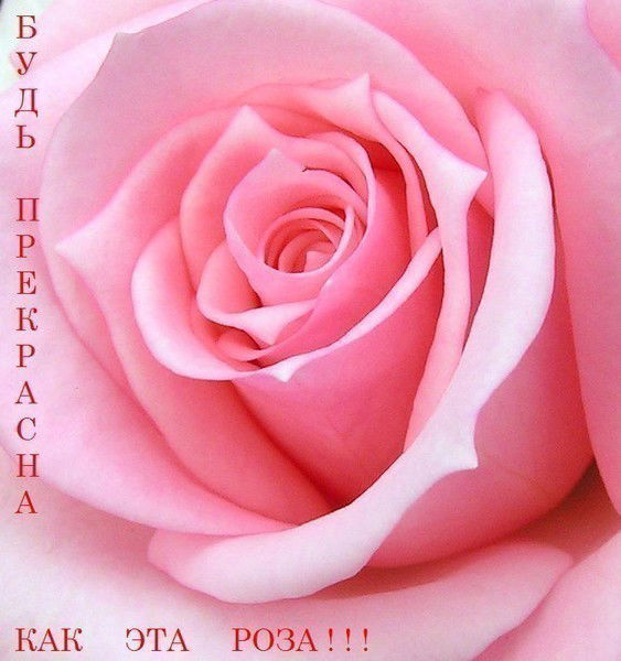 Динагуль Карашева