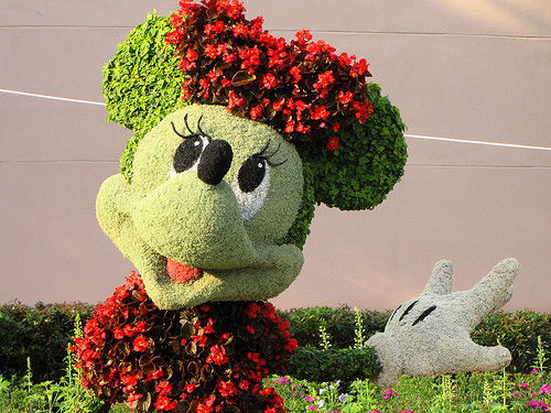 Диляра Гасанова