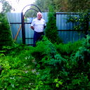 Мурман Шедания