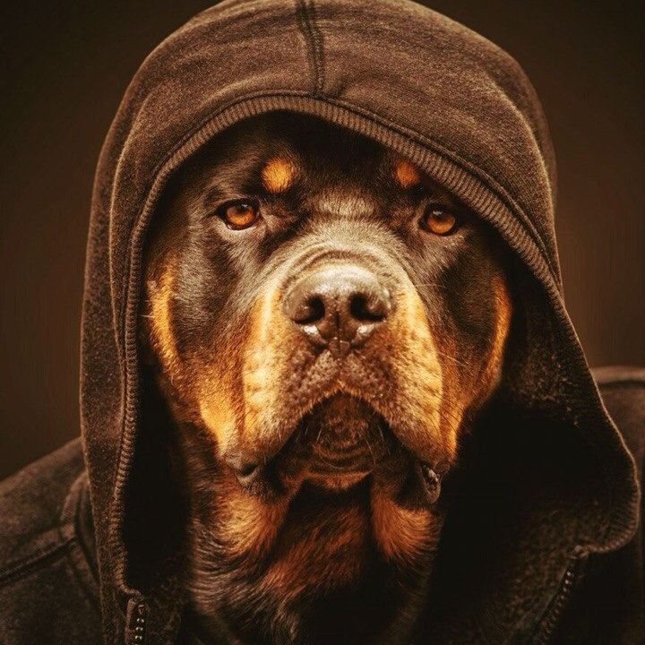 Олег Михайлов