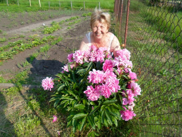 Надежда Дриманович