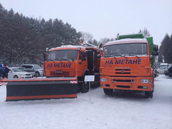 Павел Цегельников