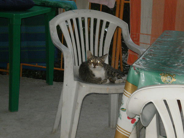 Сергей Петухов