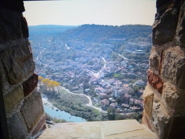 Ольга Михайловна Шаламова