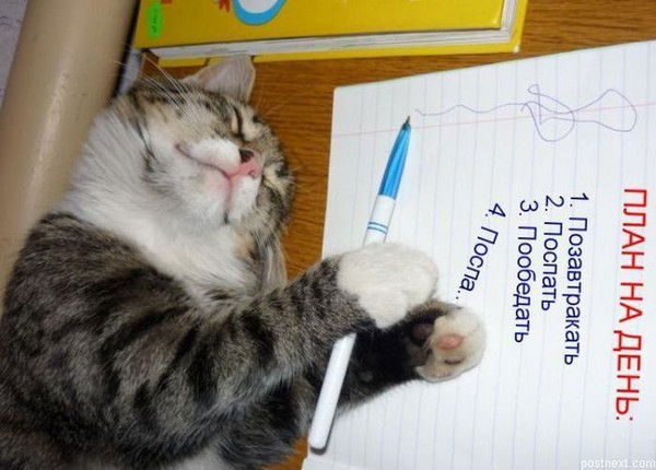 ***светлана ***