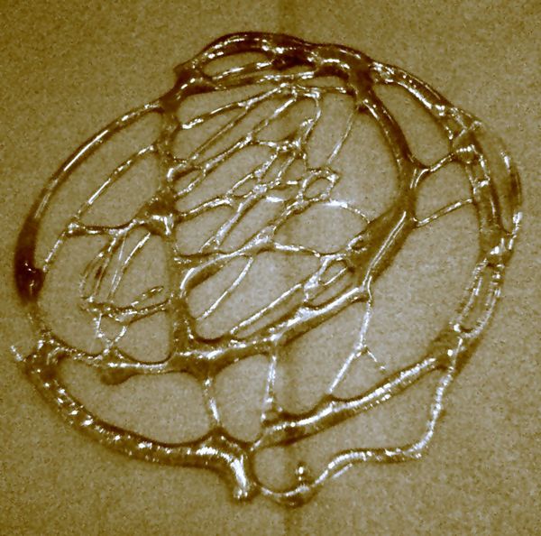 Евгения Дергачева