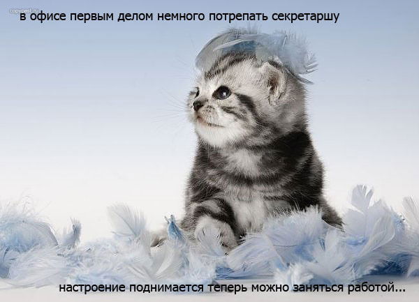 Олег Кержнер