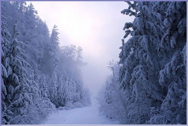 Екатерина Павлова