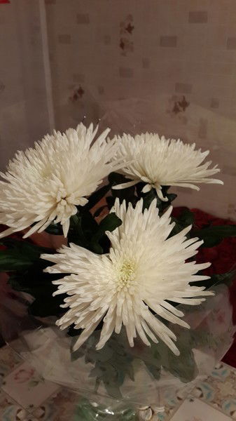 Марзия Джакеева