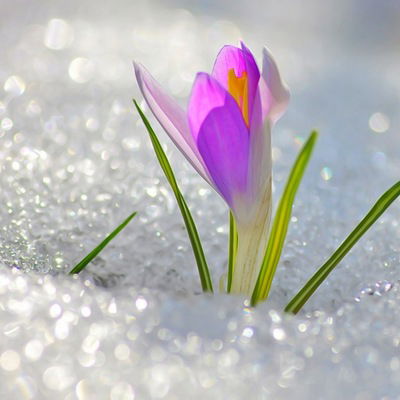 Инна Жительная