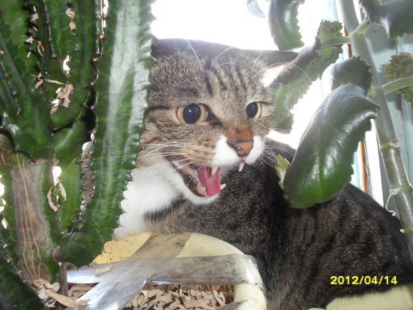 Артём Таганов