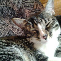 Ирина Андрейчик