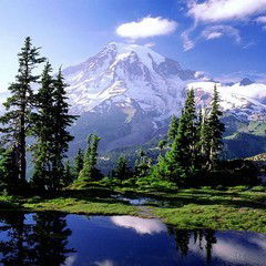 Анна Саввина