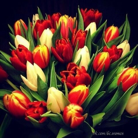 Камшат Куттымуратова