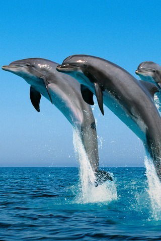 Типография Янишевская