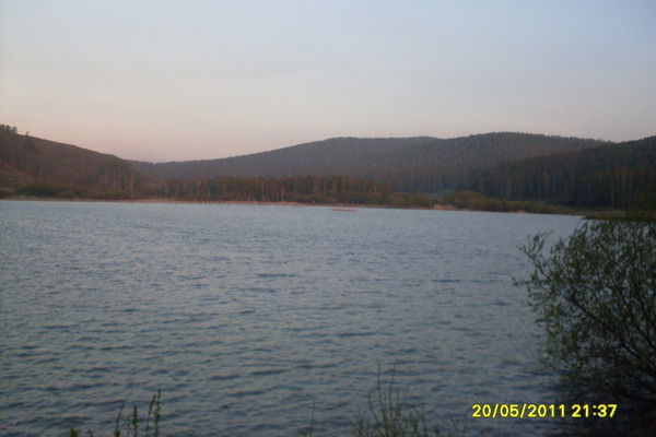 Денис Алексейчик