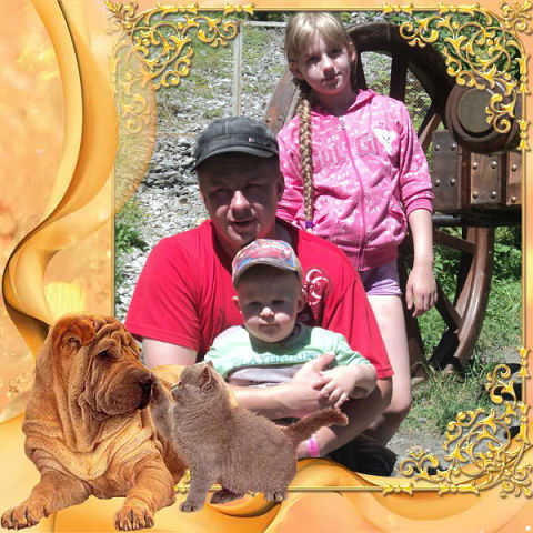 Вадим Романовский