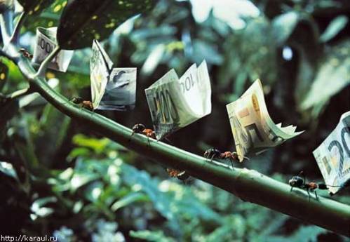 Андрей Андрей