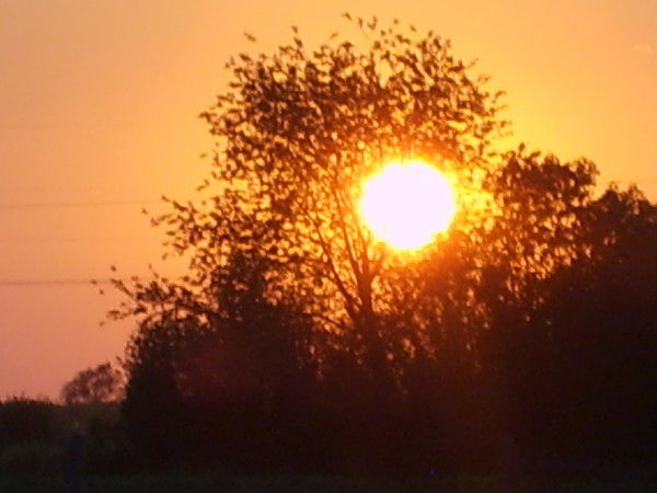 Марина Данилова