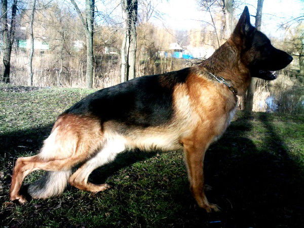 Татьяна Копотий