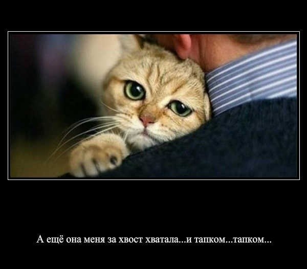 Сергей Фролов