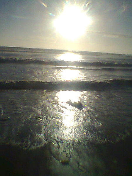 Юрий Мальцев