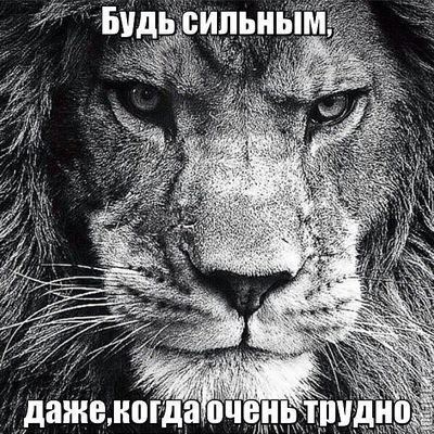 Андрей Щукинский