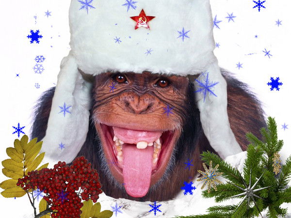 Сергей Виноградов