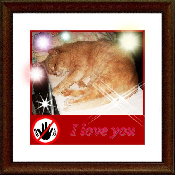 Мария Приходько