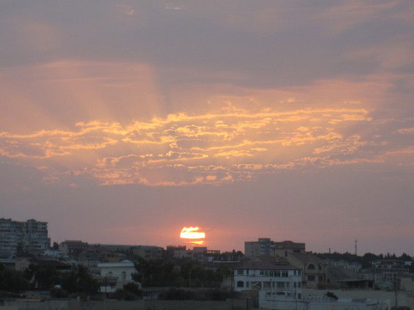 Elchin Balakishibeyli