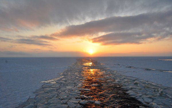 Виктор Мехов