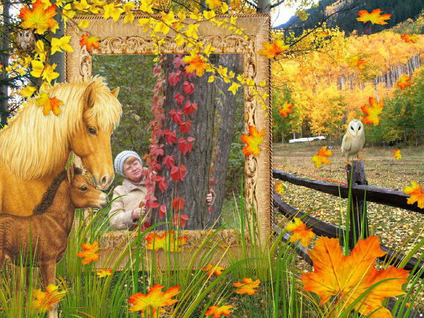 Людмила Пластун