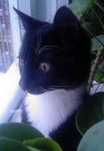 Евгений Мартынов