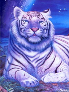 Дмитрий Чебыкин