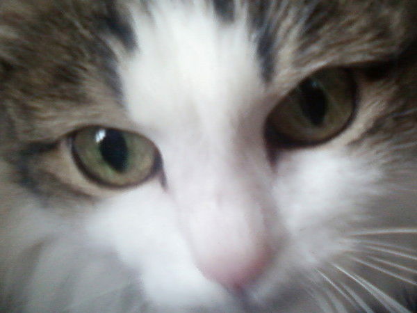 Барабанова Марина