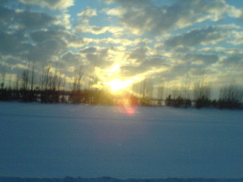 Александр Цуров