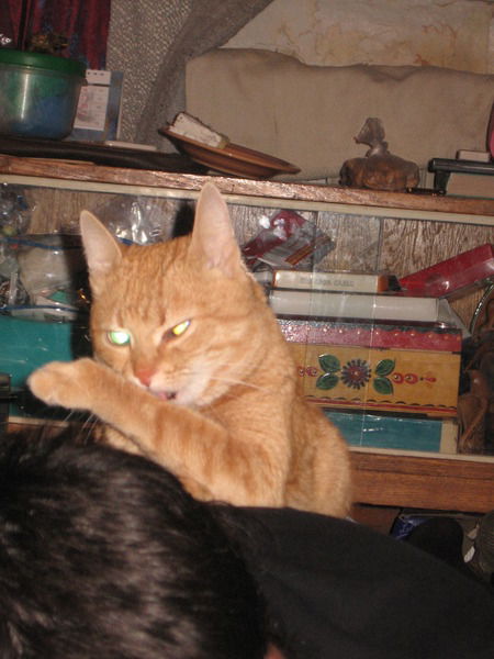 Надежда Капкина