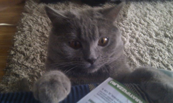 Наташа Панарина