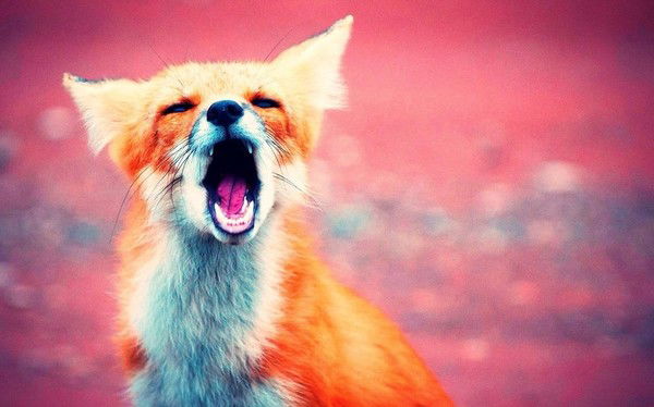 Маша Симонова