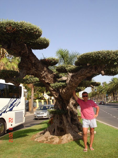 Григорий Курбако