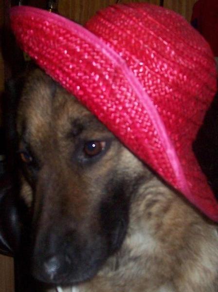 Екатерина Ерохина