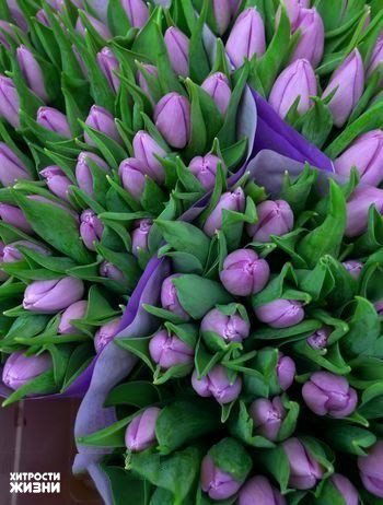 Ольга Шитова