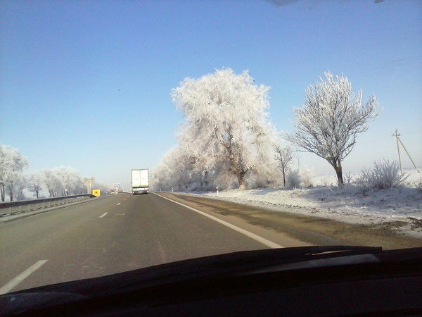 Дорснаб31 Дорснаб31