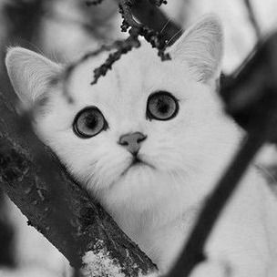 Екатерина Винникова